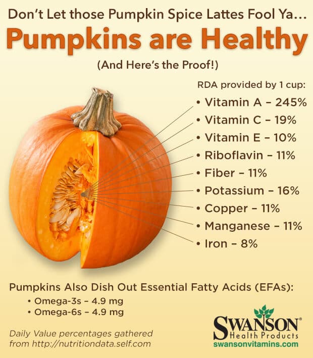 pumpkin for cats with kidney disease