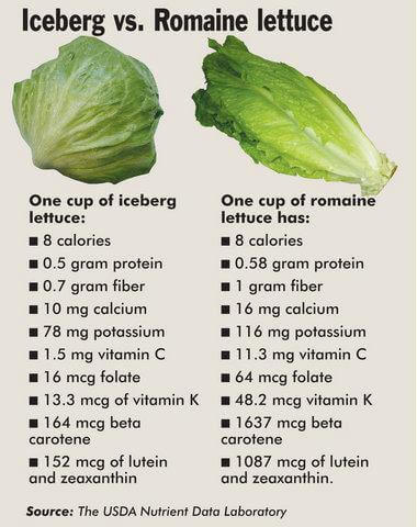can cats eat romaine lettuce