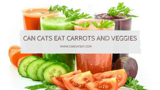 Can Cats Eat Carrots, Broccoli And Other Vegetables Like Cauliflower And Peas