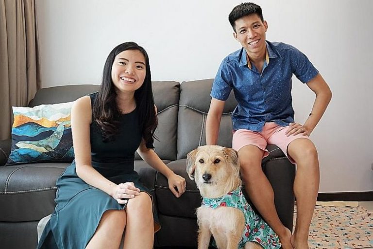 Is It Expensive to Own a Pet in Singapore?
