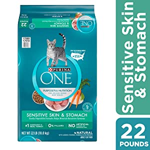 Purina One Sensitive Stomach Cat Food