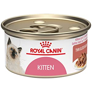 Royal Canin Nutrition Kitten