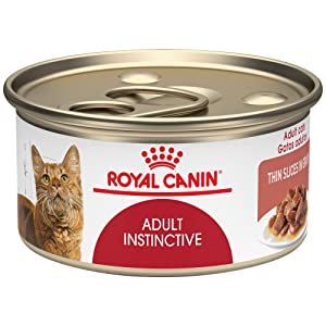 Royal Canin Feline Health Nutrition Adult Instinctive Thin Slices