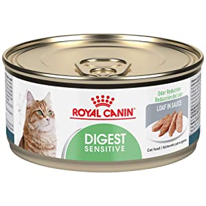 Royal Canin Digest Sensitive Loaf Canned Food